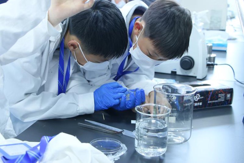 微生物技术
